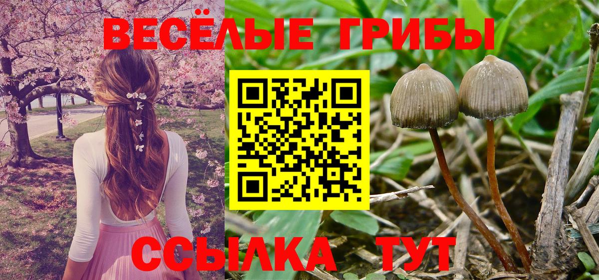 Шарыпово  Галлюциногенные грибы ЛСД  Псилоцибиновые грибы MAGIC MUSHROOMS  Вход с VPN 